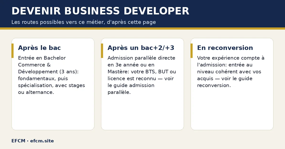 Schéma : Devenir business developer — Après le bac ; Après un bac+2/+3 ; En reconversion.