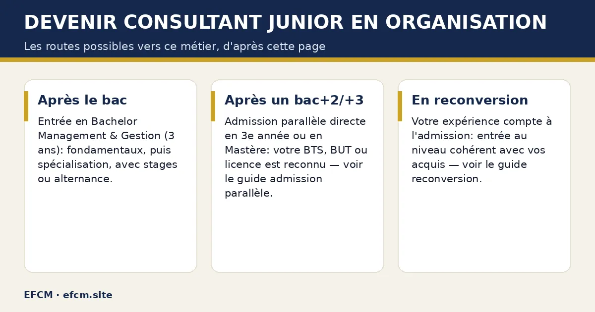 Schéma : Devenir consultant junior en organisation — Après le bac ; Après un bac+2/+3 ; En reconversion.