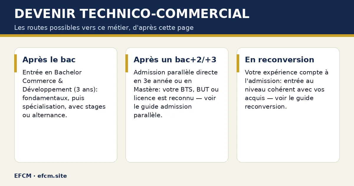 Schéma : Devenir technico-commercial — Après le bac ; Après un bac+2/+3 ; En reconversion.