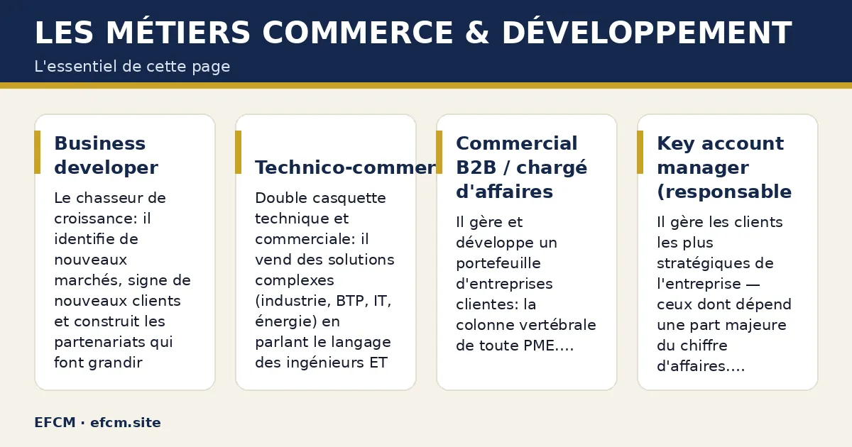 Schéma : Les métiers Commerce & Développement — Business developer ; Technico-commercial ; Commercial B2B / chargé d'affaires ; Key account manager (responsable grands comptes).