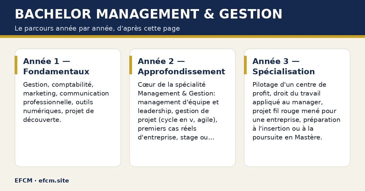 Schéma : Bachelor Management & Gestion — Année 1 — Fondamentaux ; Année 2 — Approfondissement ; Année 3 — Spécialisation.