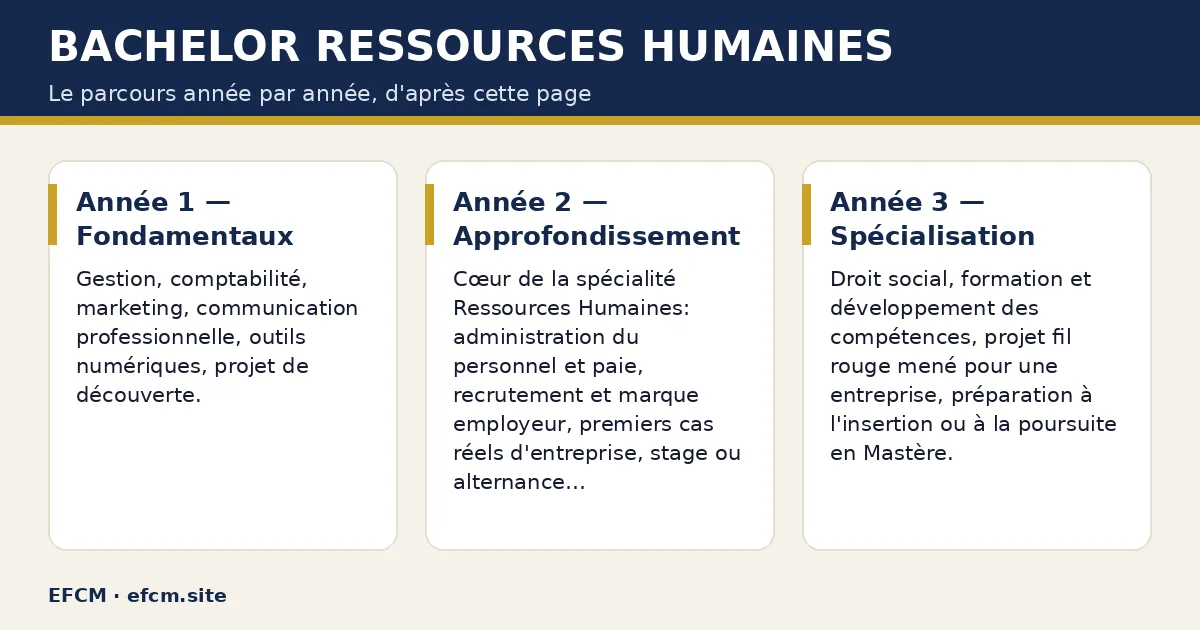 Schéma : Bachelor Ressources Humaines — Année 1 — Fondamentaux ; Année 2 — Approfondissement ; Année 3 — Spécialisation.